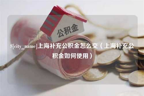 伊犁上海补充公积金怎么交（上海补充公积金如何使用）